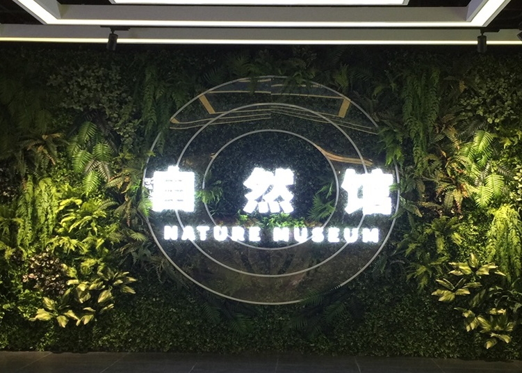 淄博师专展览馆——自然展览馆之一